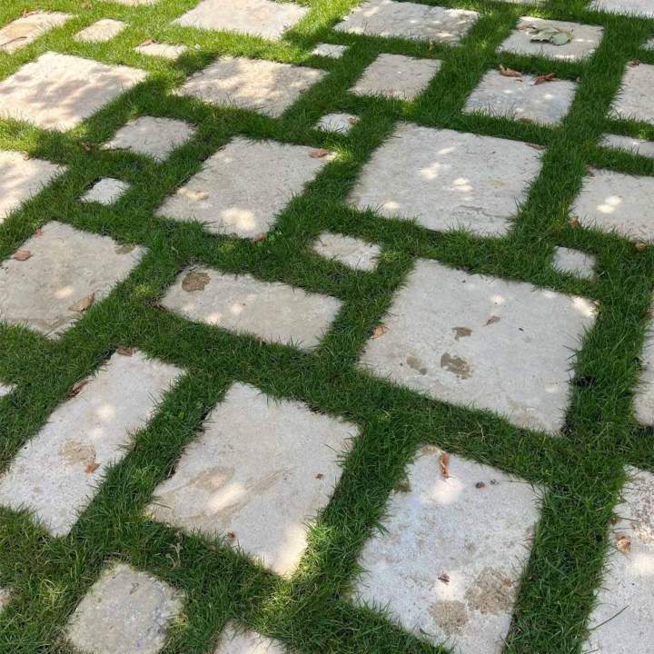 Tonte de pelouse Lisieux