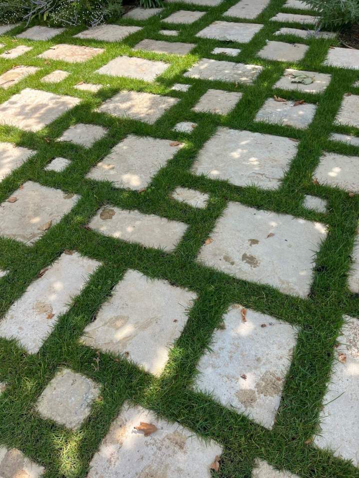 Tonte pelouse Lisieux