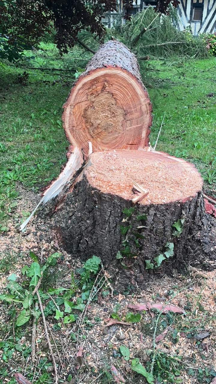 Pour tailler les arbres