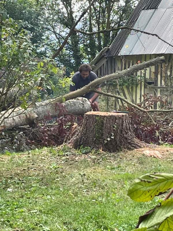 Entretenir le jardin Lisieux