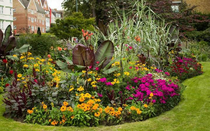 Création paysagère Lisieux